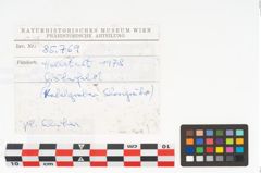 Foto von Keramikgefäß (NHMW-PRAE-085769)